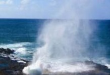 Waimea Canyon Experience